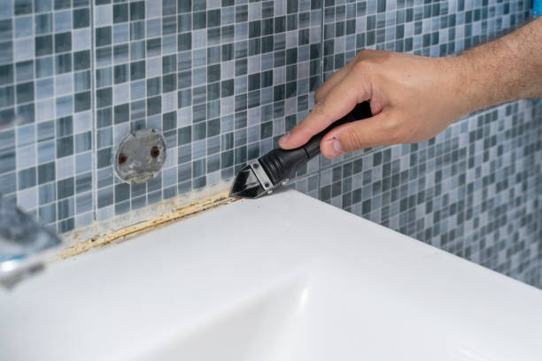 Best Office Mold Removal Services  in Washington, MO