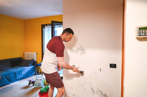 Best Black Mold Removal  in Washington, MO